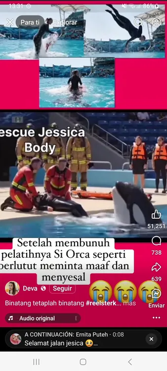 Screenshot_20250813_133108_Facebook