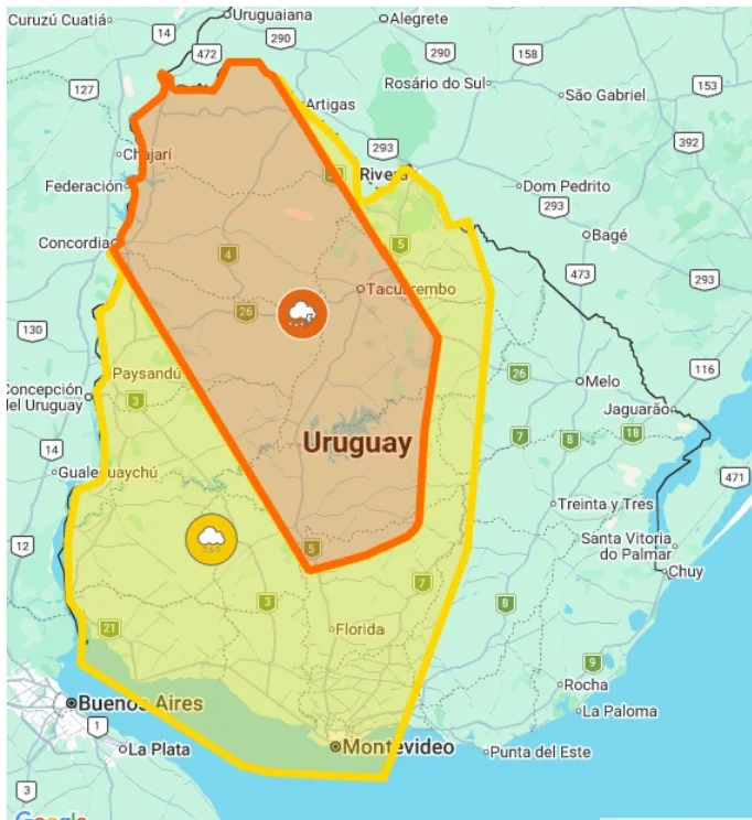 Screenshot_20260321_104638_com_hihonor_hnoffice_PDFPhoneActivity0