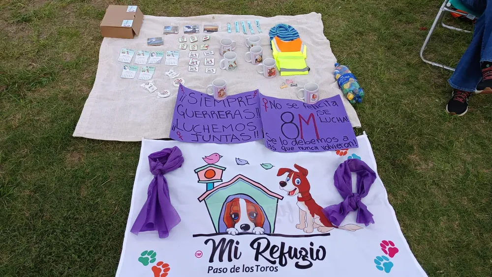 WhatsApp Image 2024-03-08 at 18.50.32