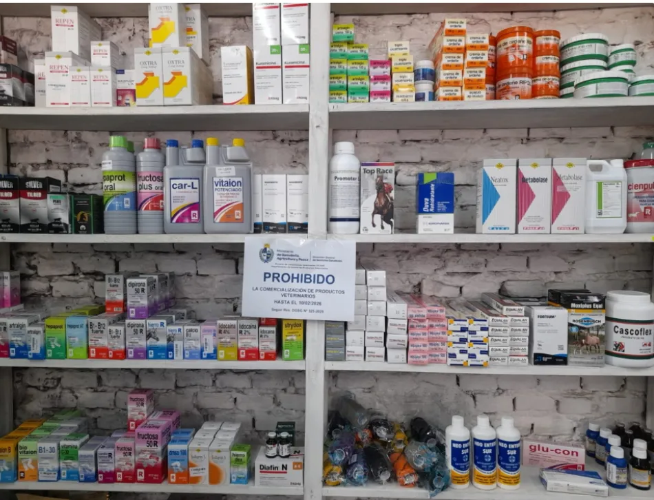 Screenshot_2025-11-14-07-32-25-448_com.android.chrome-edit