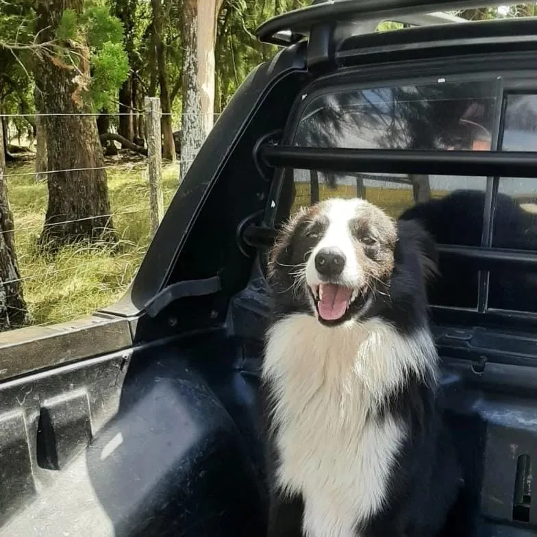 WhatsApp Image 2024-03-25 at 15.45.21