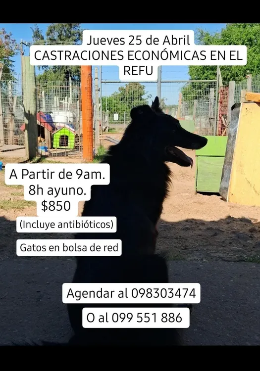 WhatsApp Image 2024-04-24 at 10.41.04