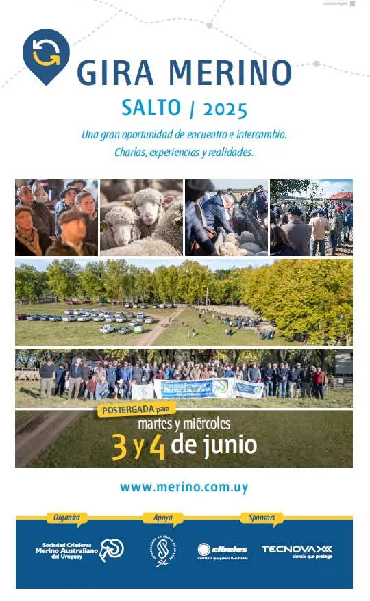 FB_IMG_1748904763989