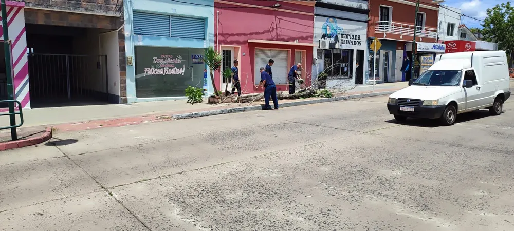 WhatsApp Image 2024-01-08 at 14.00.09 (1)