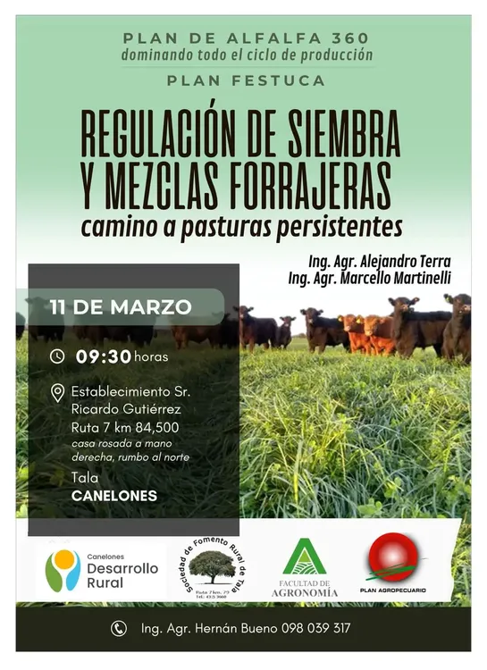 FB_IMG_1741018283639