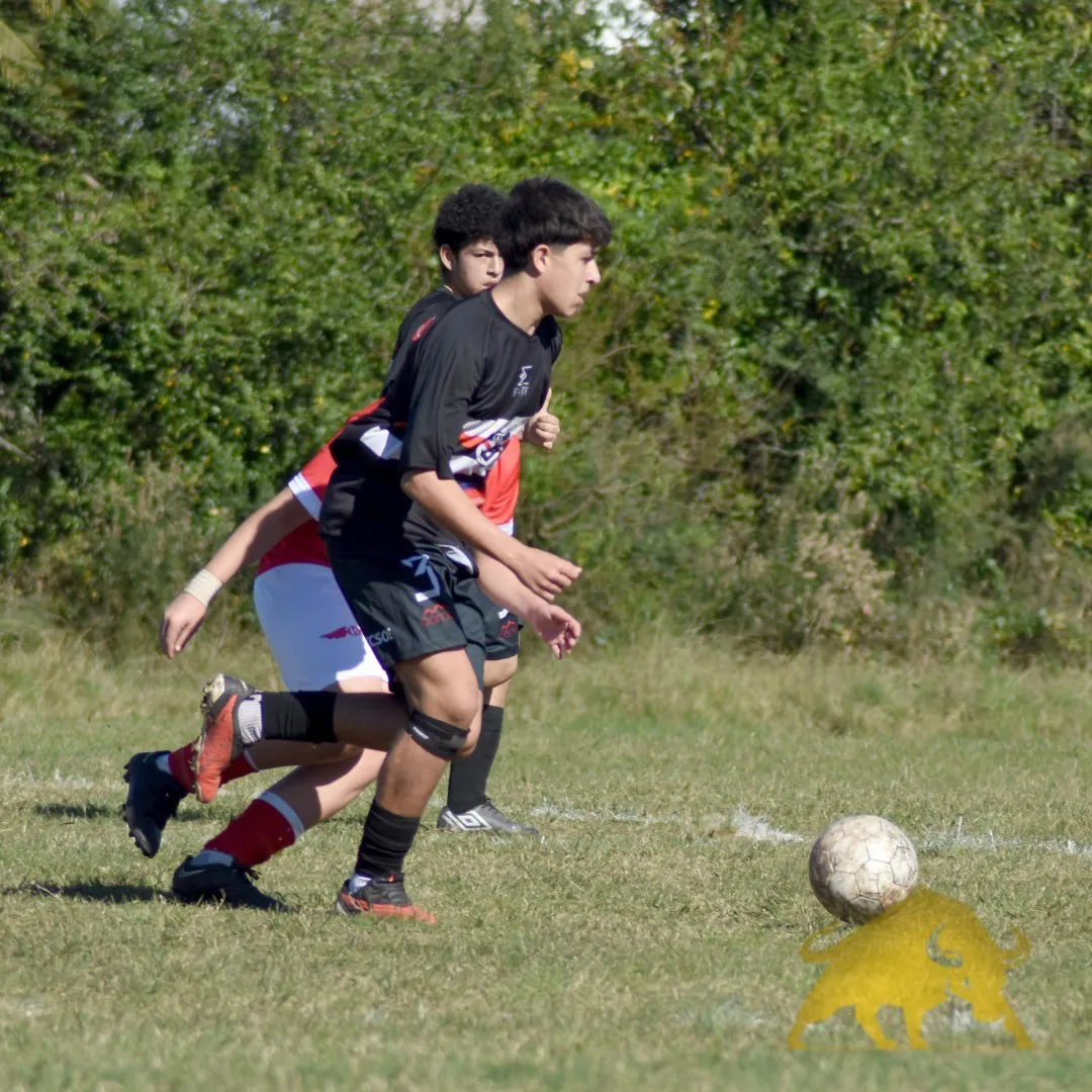 448663456_858449612996496_8697059556367101011_n