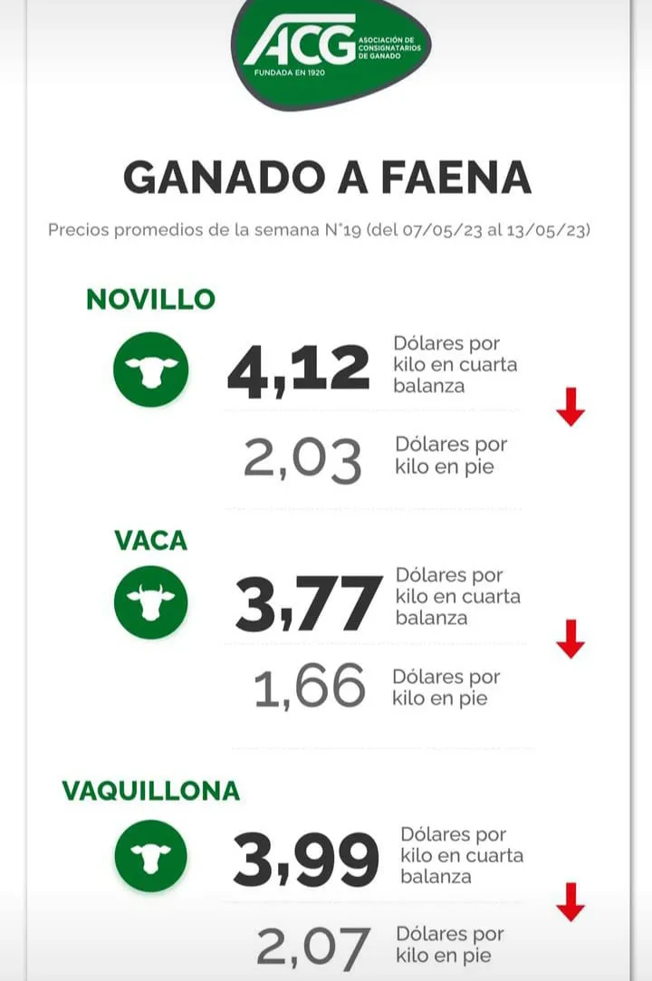 WhatsApp Image 2023-05-16 at 09.05.31 (2)