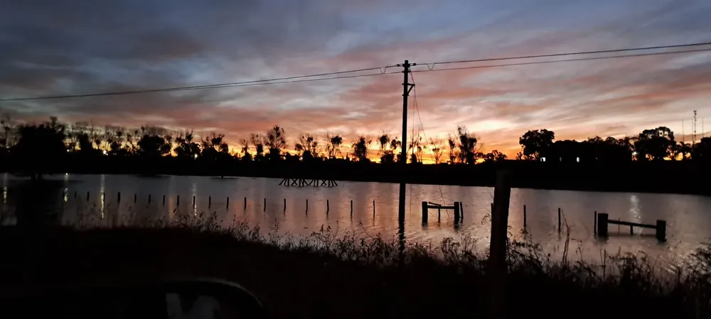 WhatsApp Image 2024-06-01 at 14.08.40