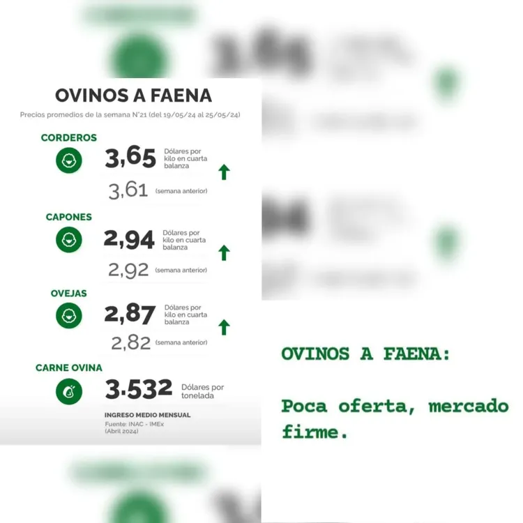 WhatsApp Image 2024-05-28 at 09.18.59 (1)