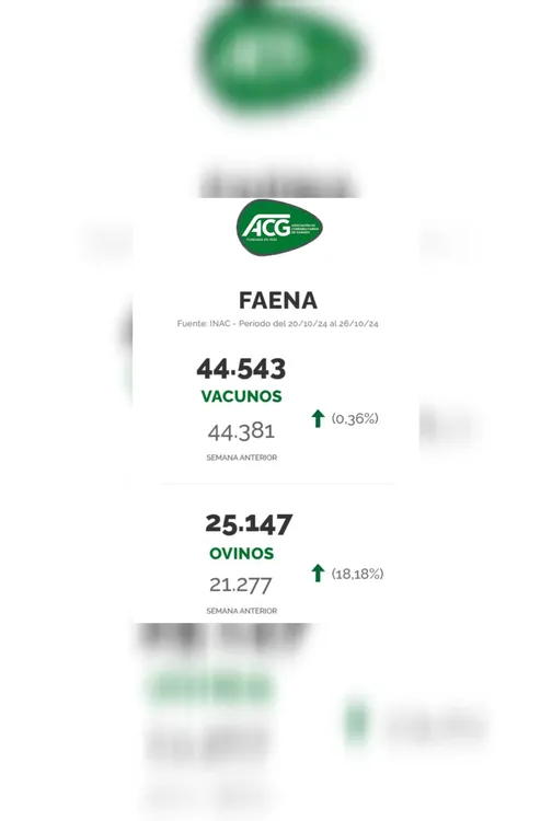 InShot_20241029_173339536