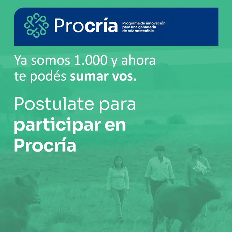 FB_IMG_1780425306547