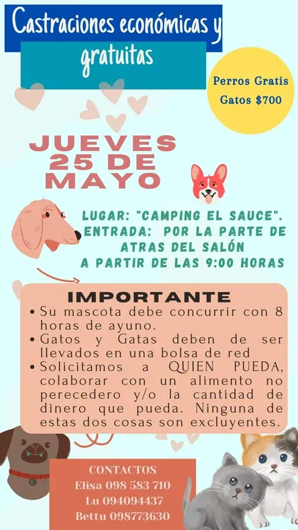 WhatsApp Image 2023-05-22 at 08.40.37