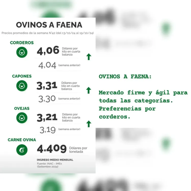 InShot_20241022_104230943