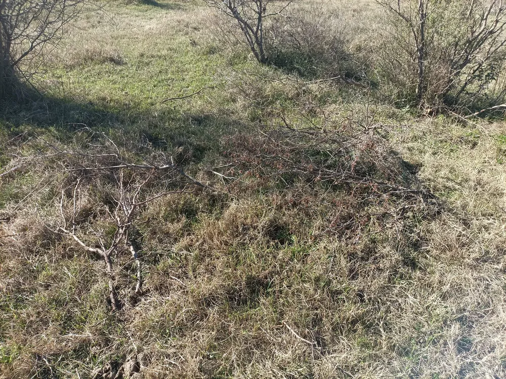 453255852_500567032614984_7338276493604128029_n