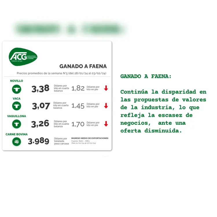 WhatsApp Image 2024-02-06 at 14.23.14