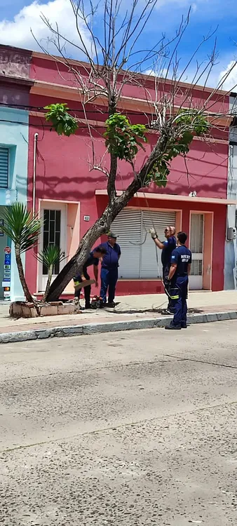 WhatsApp Image 2024-01-08 at 14.00.09