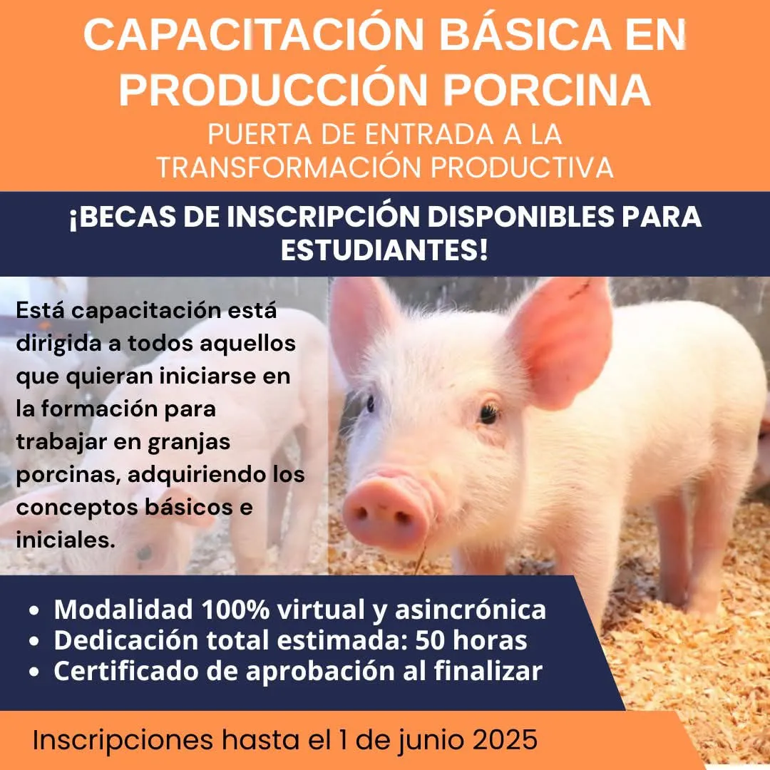 FB_IMG_1746694300151