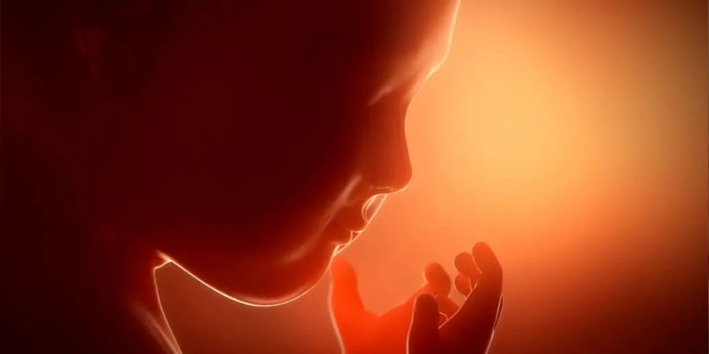 FB_IMG_1767983374702