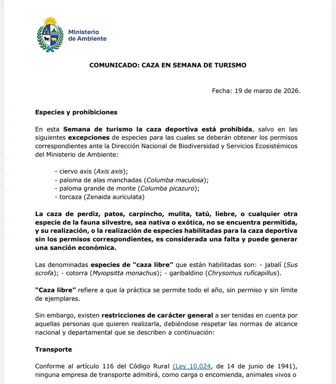 Screenshot_20260327_142203_com_hihonor_hnoffice_PDFPhoneActivity0