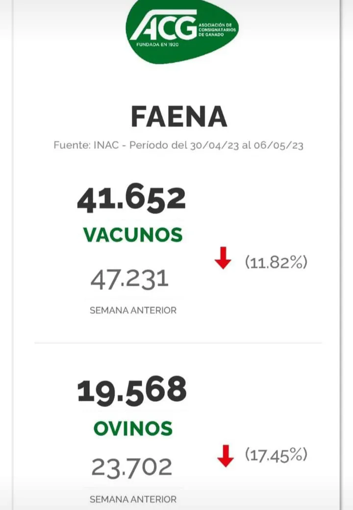 WhatsApp Image 2023-05-09 at 08.01.13