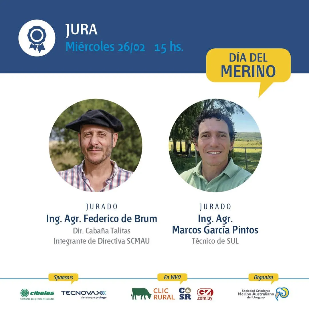 FB_IMG_1740520090460