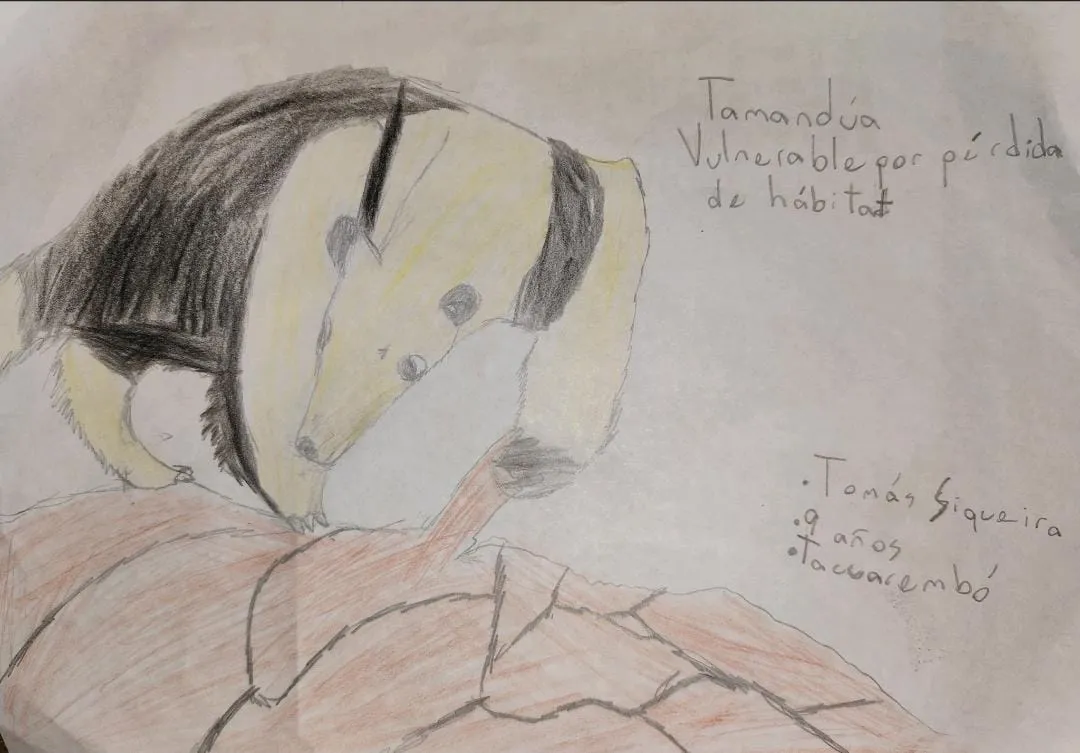 WhatsApp Image 2024-07-23 at 12.09.28 (1)