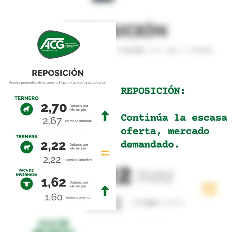 InShot_20241105_094449099