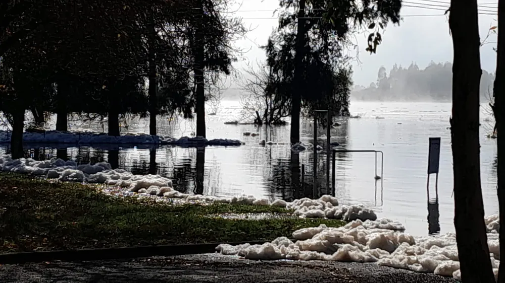 WhatsApp Image 2024-05-20 at 10.53.16 (1)