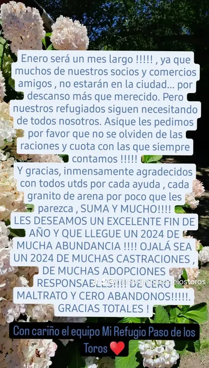 WhatsApp Image 2024-01-02 at 14.55.03