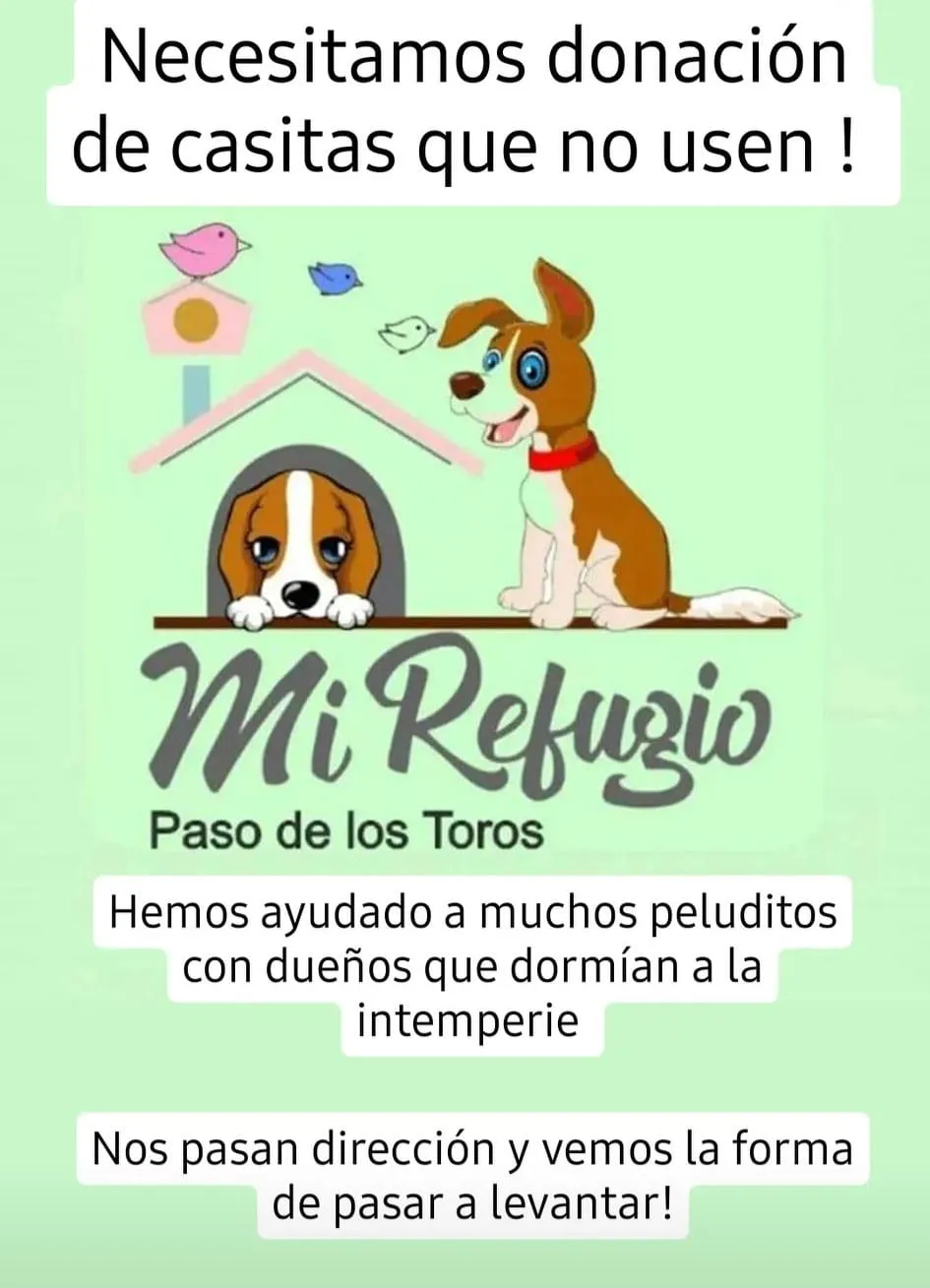 440966143_469108962134868_587923887998496814_n