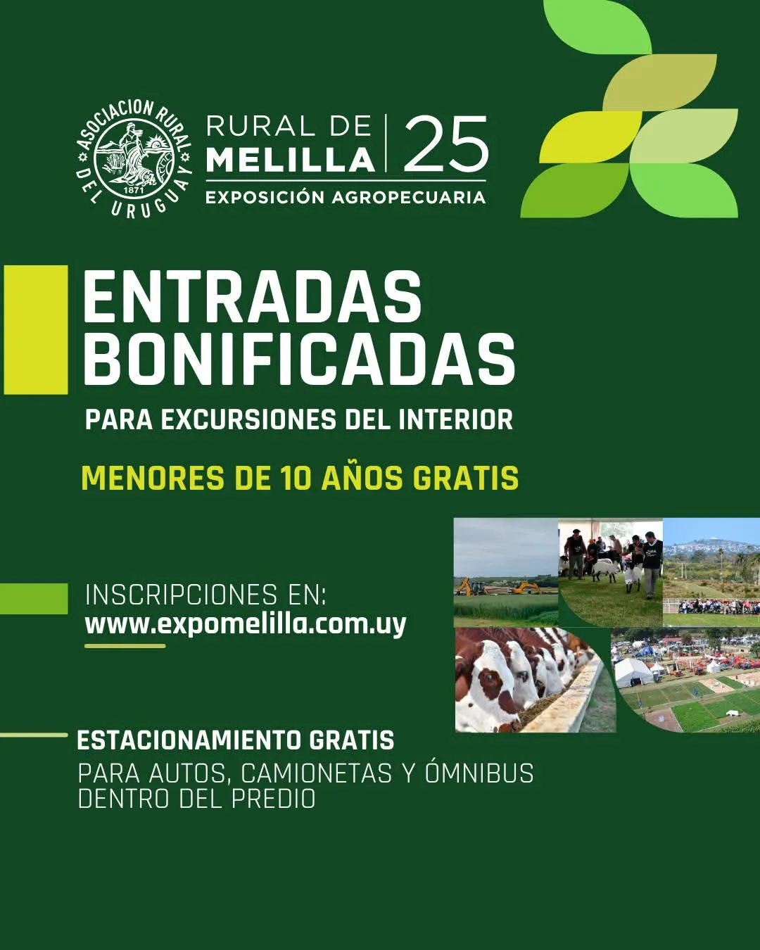 FB_IMG_1742741430643