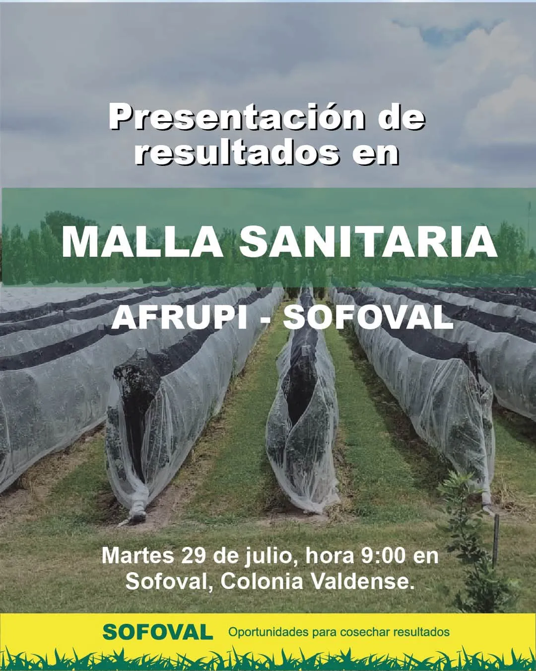 FB_IMG_1748994327756