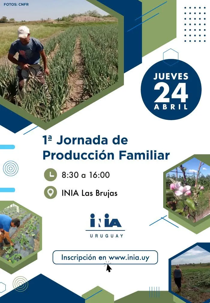 FB_IMG_1744205413362