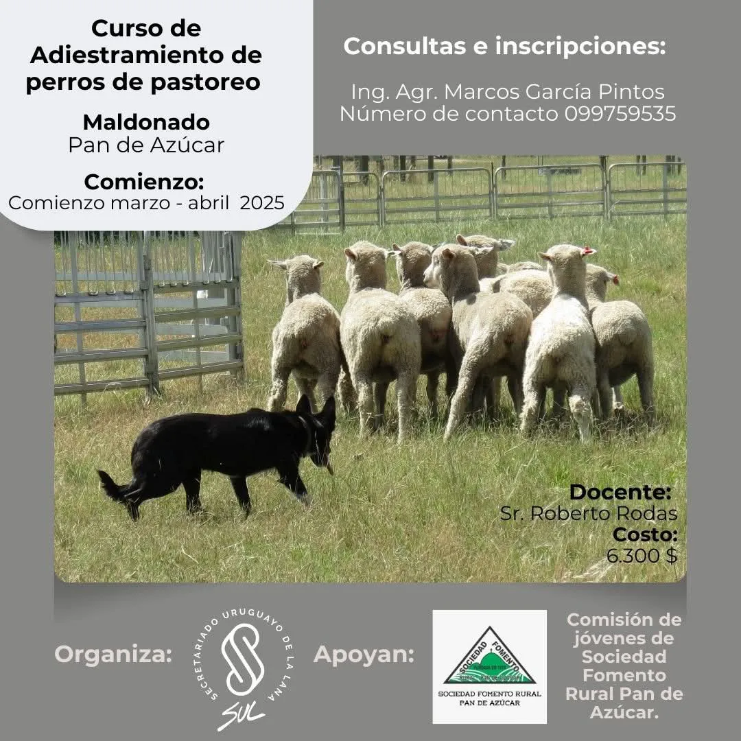 FB_IMG_1737575441601