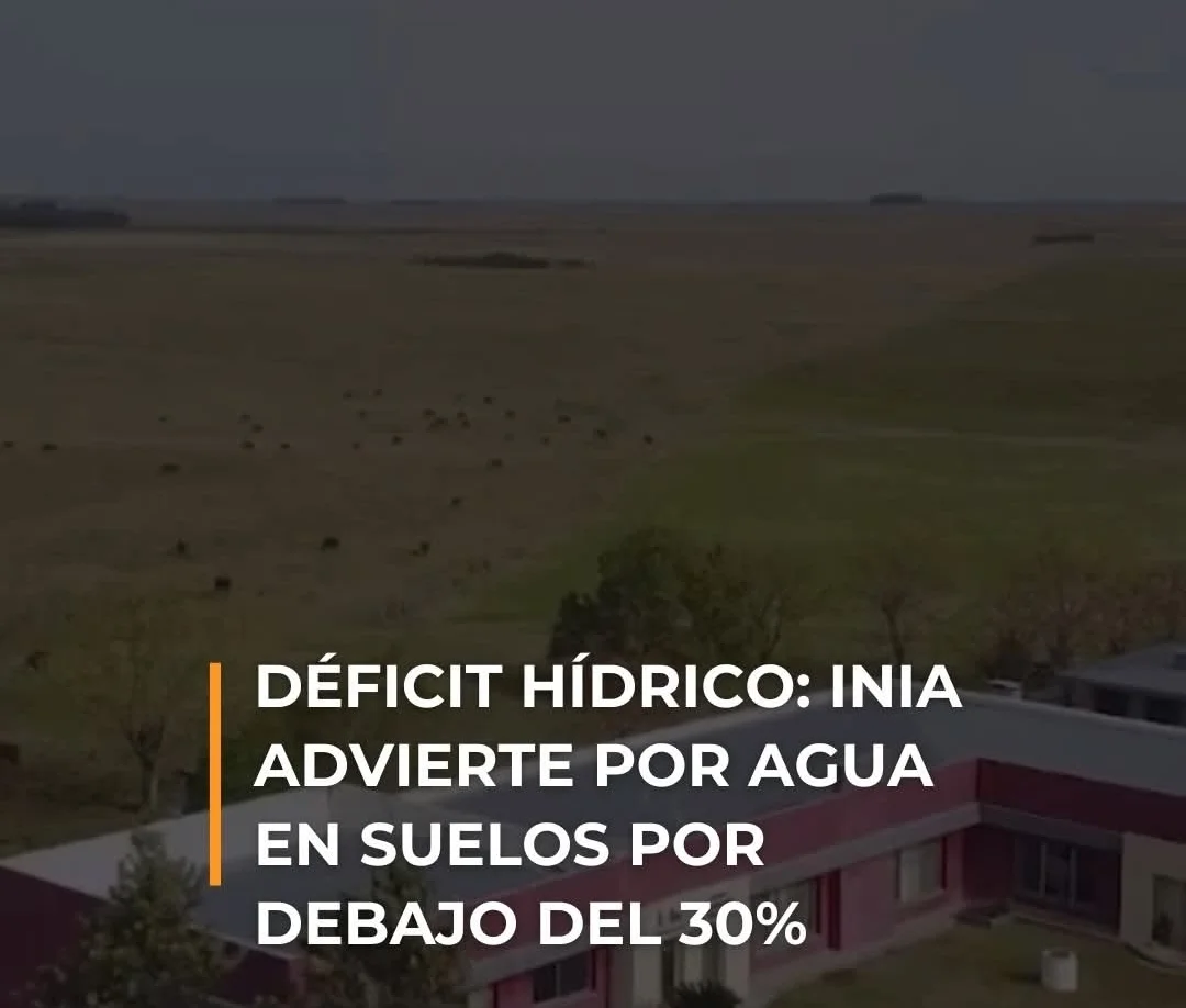 Screenshot_20260216_161430_Facebook