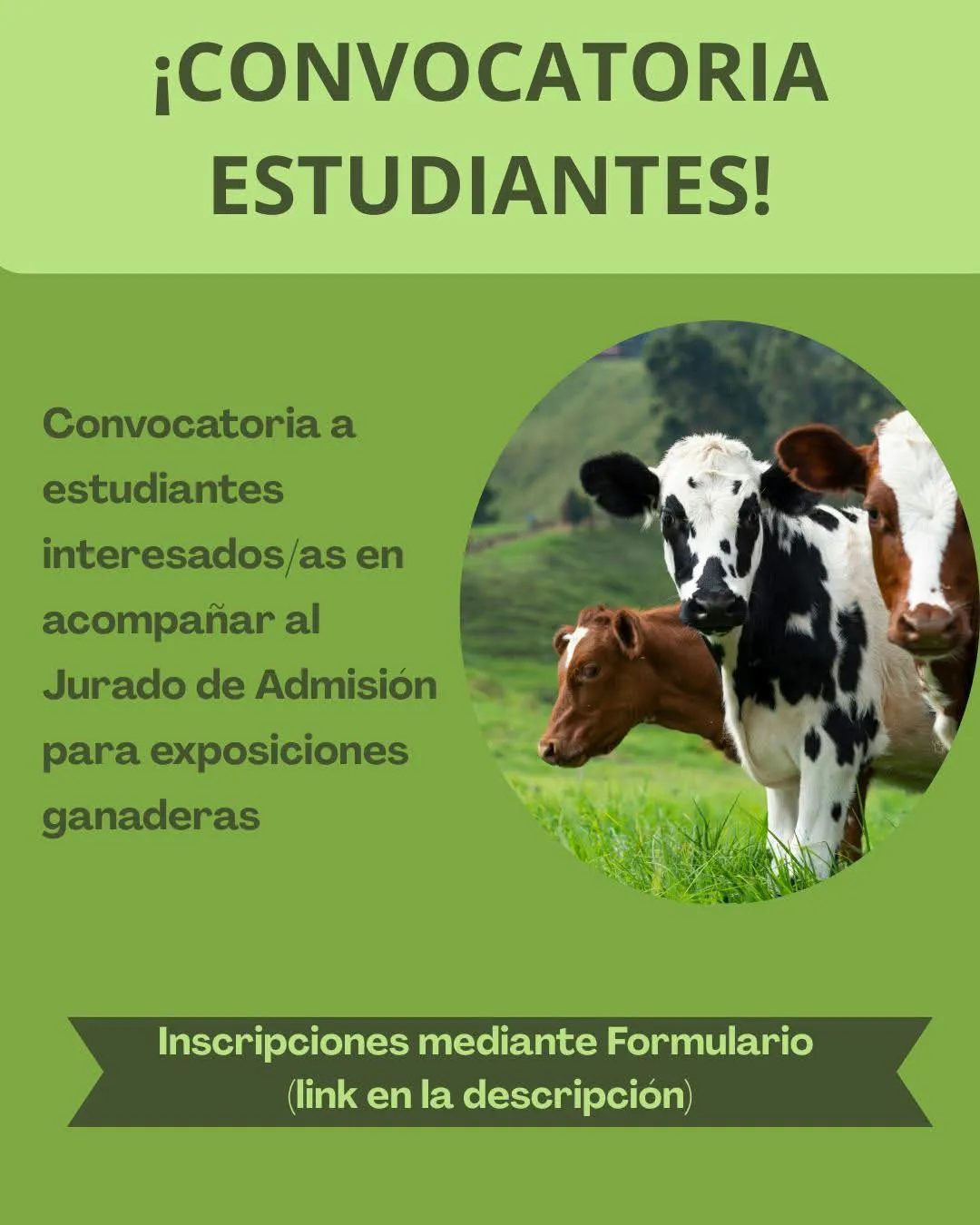 FB_IMG_1769034081853