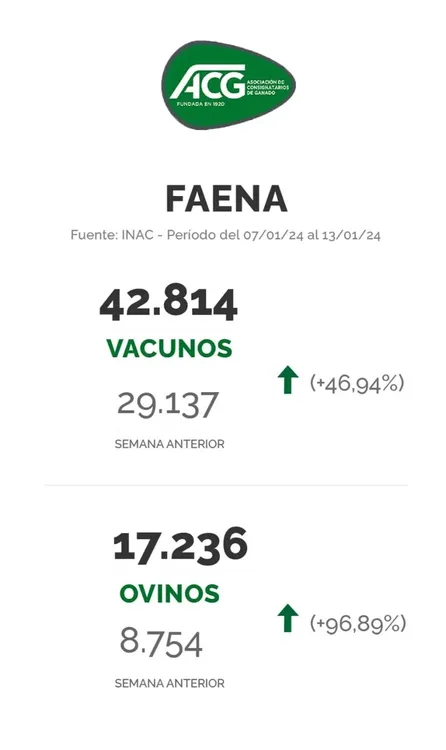 WhatsApp Image 2024-01-16 at 08.34.55