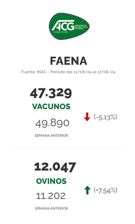 WhatsApp Image 2024-08-20 at 09.23.21 (2)