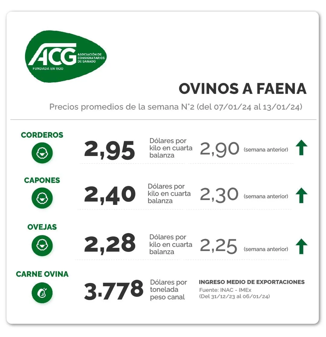 WhatsApp Image 2024-01-16 at 08.34.39