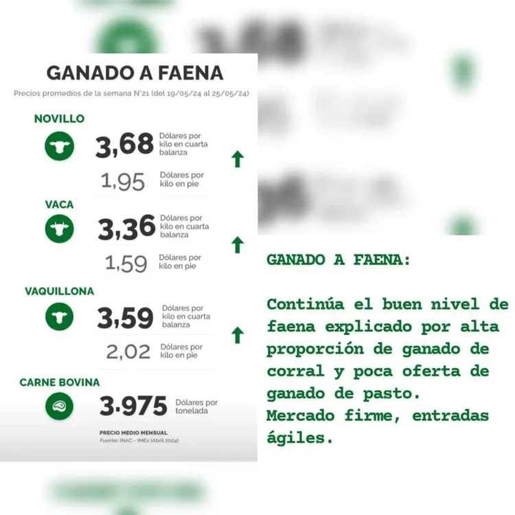 WhatsApp Image 2024-05-28 at 09.19.00