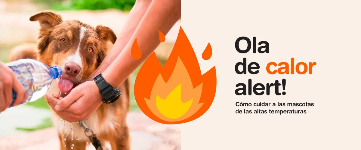 Ola-de-calor-portada