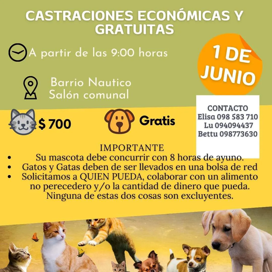 FB_IMG_1685489716868