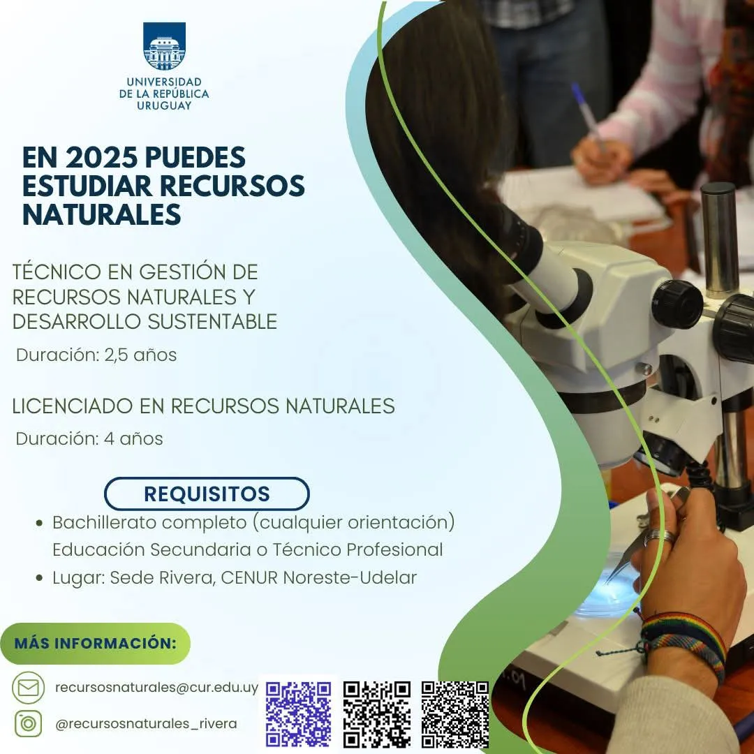 FB_IMG_1738706668852