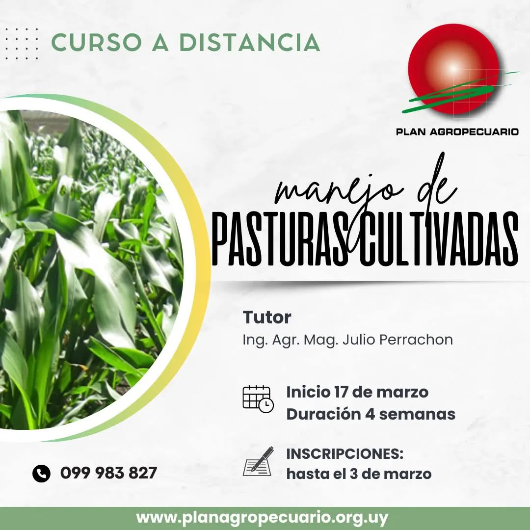 FB_IMG_1740001488763