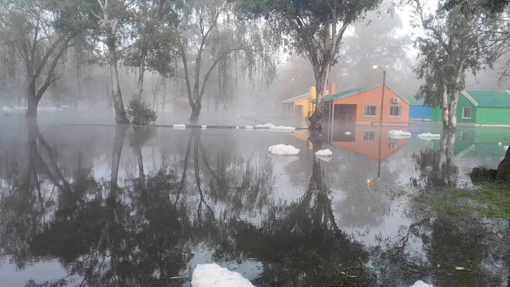 WhatsApp Image 2024-05-20 at 10.53.19