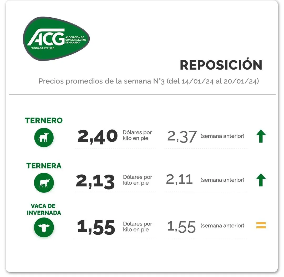 WhatsApp Image 2024-01-23 at 10.55.22