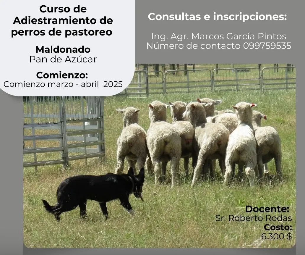 Screenshot_20250122_165109_Facebook