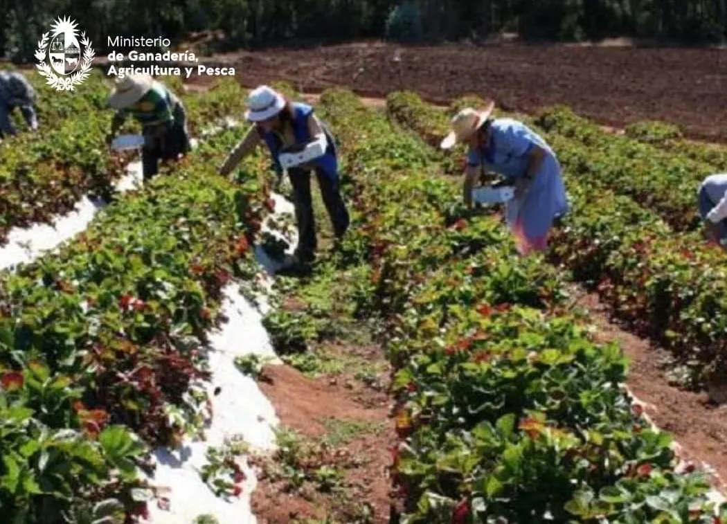 Screenshot_20240625_081107_Facebook