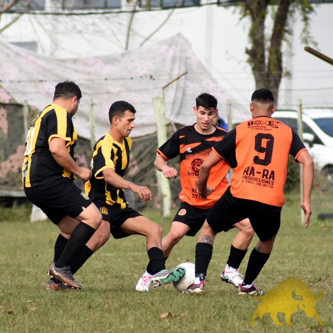 448658043_858449232996534_8178764576507248753_n