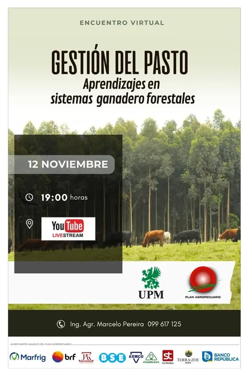 FB_IMG_1762438155367